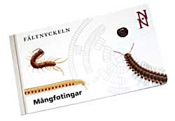 Mångfotingar (tusenben) Fältnyckeln