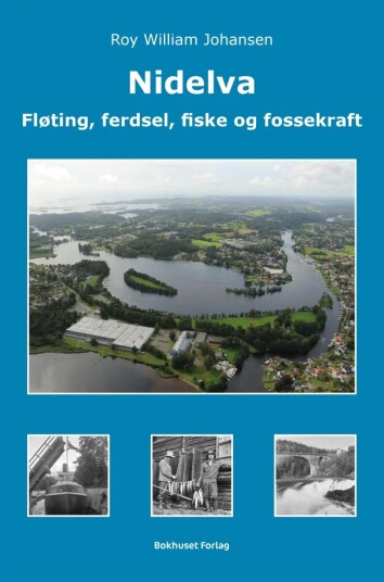Nidelva Av Roy William Johansen