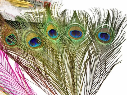 Frodin Flies Peacock Eye Feather Pack Frodin Flies Peacock Eye Feather Pack