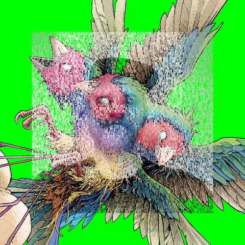Gouldian Finch, Martin Horntveth Hatch CD Gouldian Finch, Martin Horntveth Hatch CD