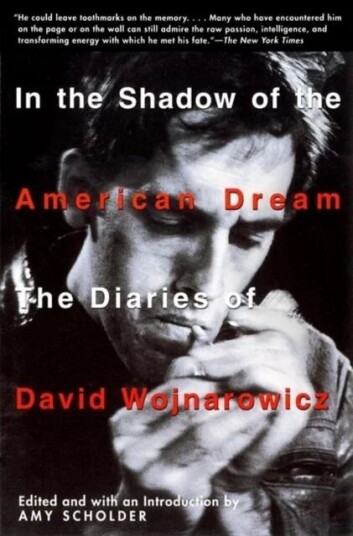 In the Shadow of the American Dream In the Shadow of the American Dream