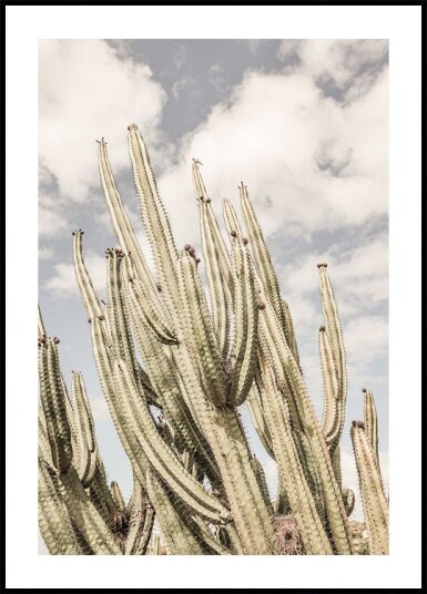 Desert Sentinels Plakat / 50x70cm