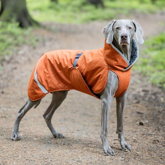 Pomppa Toppa Vinterdekken Hund Rust