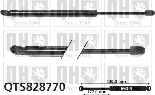 QUINTON HAZELL QTS828770 Baklukedemper