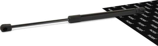 RIDEX 219G0015 Baklukedemper