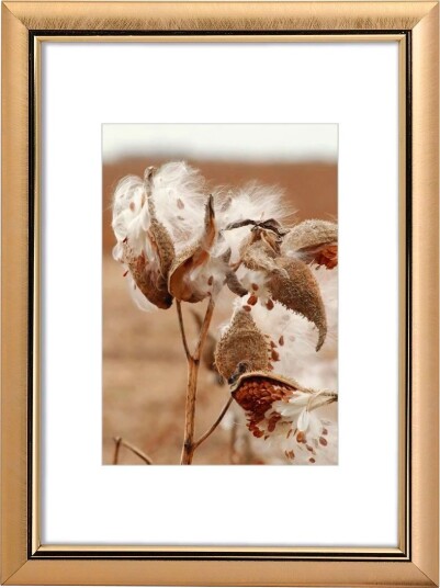 Hama Saragossa fotoramme med passepartout 20x30cm gull