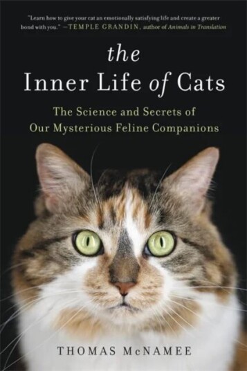 The Inner Life Of Cats Av Thomas Mcnamee