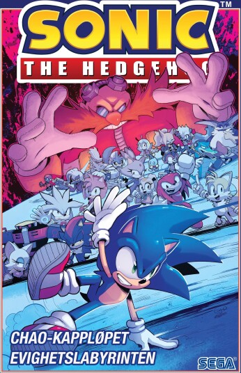 Sonic the Hedgehog Sonic the Hedgehog