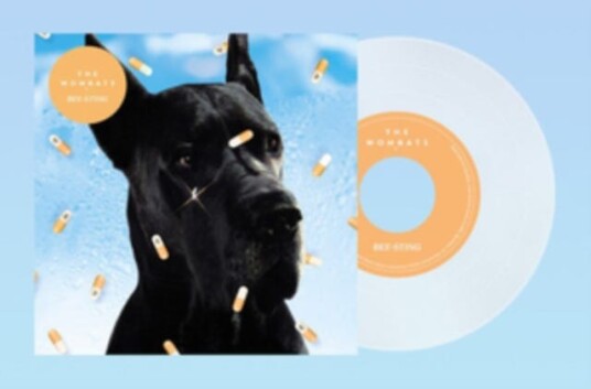 The Wombats  BeeSting  LP/Vinyl