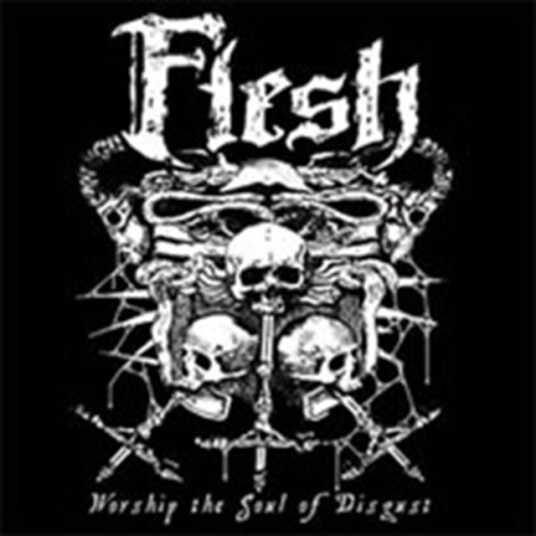Flesh Worship The Soul Of Disgust CD Flesh Worship The Soul Of Disgust CD