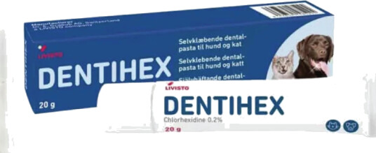 Dentihex Tannpasta 20 G Dentihex Tannpasta 20 G