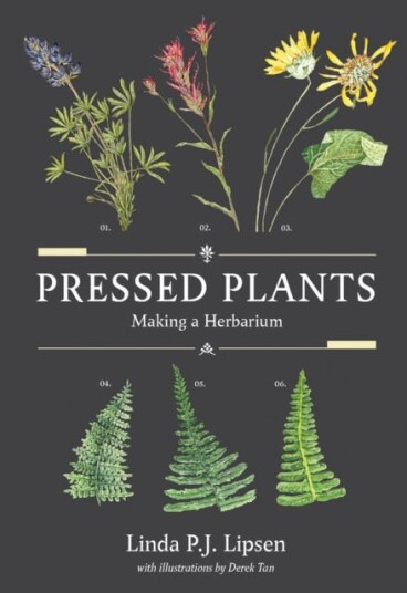 Pressed Plants Av Linda P.J. Lipsen, Derek Tan