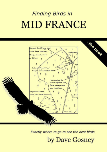 Finding Birds in mid France Finding Birds in mid France