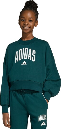 Adidas Jg Clgt Ft Swt Aurivy/White 128 Sweatshirts Adidas Jg Clgt Ft Swt Aurivy/White 128 Sweatshirts