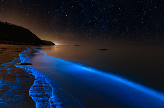 Bioluminescence at the danish coastline av Daniel Faisst Bioluminescence at the danish coastline av Daniel Faisst