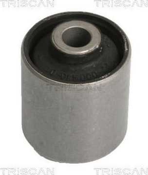 Lagring, akselskaft TRISCAN 8500 10810