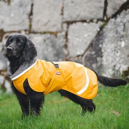 Pomppa Kevyt Regndekken Hund Gul (40 cm)