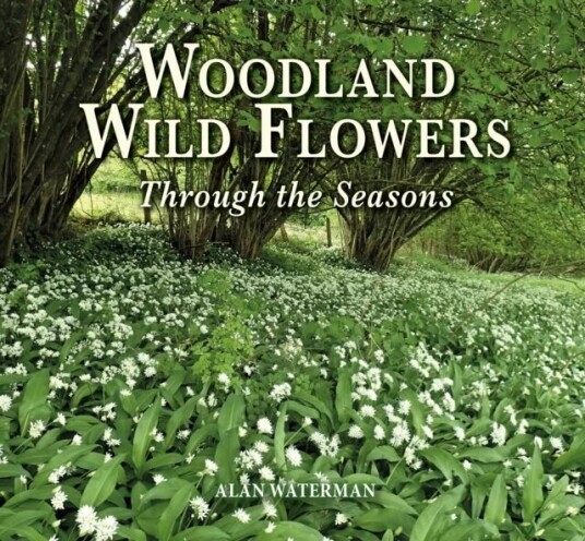 Woodland Wild Flowers Av Alan Waterman
