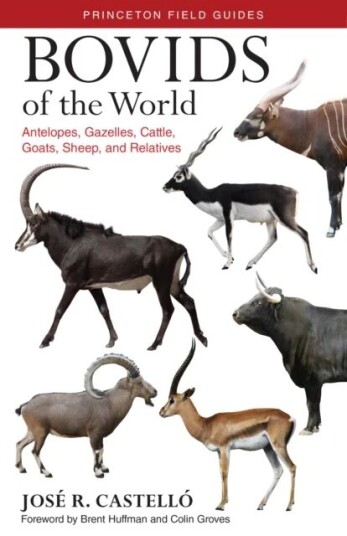 Bovids Of The World Av Dr. Jose R. Castello