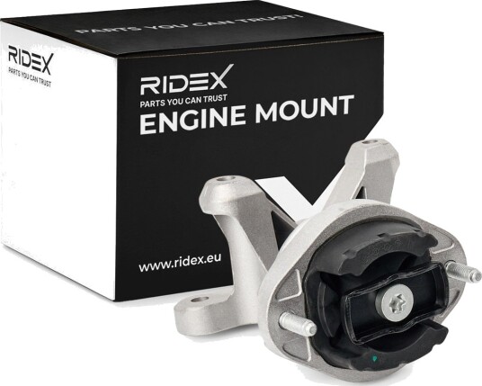 RIDEX 247E1312 Motorfeste