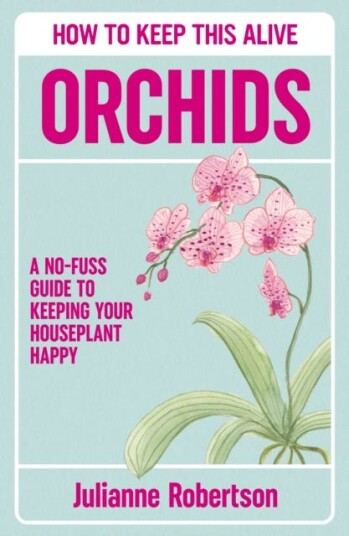 Orchids: How to Keep This Alive  A nofuss guide to keeping your orchids alive one pot at a time