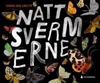 Nattsvermerne Av Sunniva Sunde Krogseth
