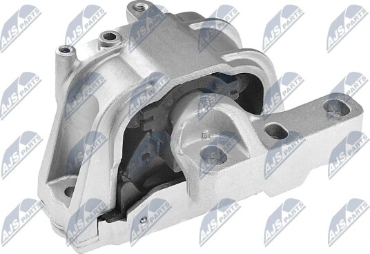 Motorfeste NTY ZPS WW 012
