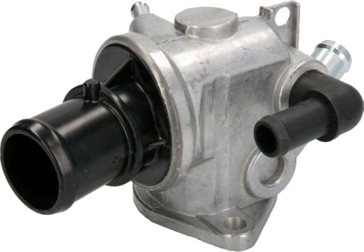 Termostat THERMOTEC D2D002TT