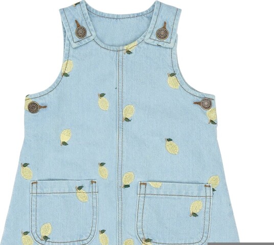 The New Tnstsaja S_L Denim Dress Blue 110 The New Tnstsaja S_L Denim Dress Blue 110