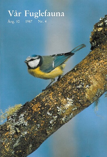 Norsk Ornitologisk Forening Vår Fuglefauna   1987 4 årgang 10
