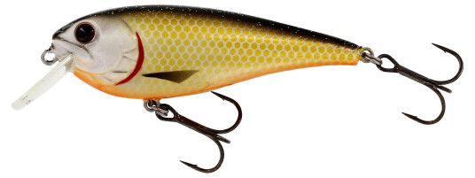Westin Rawbite 7cm - 12g Official Roach Westin Rawbite 7cm - 12g Official Roach