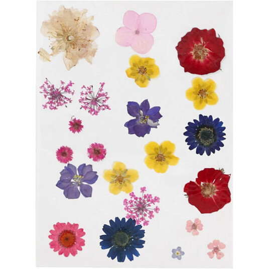 Creativ Company Pressede blomster Blandede farger 1 ark Creativ Company Pressede blomster Blandede farger 1 ark