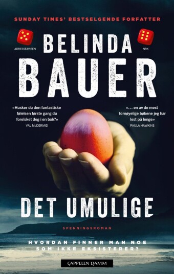 Det umulige