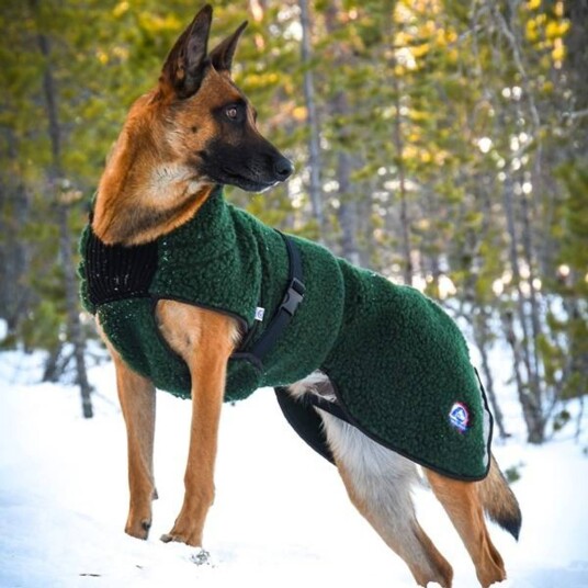 Canelana Selva 100% Ull Hundedekken XL 64 cm