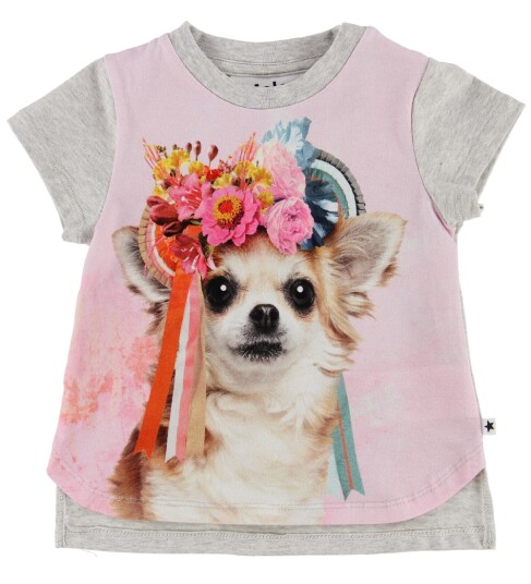 Molo T skjorte Erin Chihuahua 74 T skjorte Grå Rosa