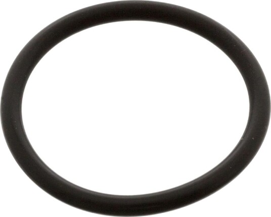 Tetningsring FEBI BILSTEIN 02200