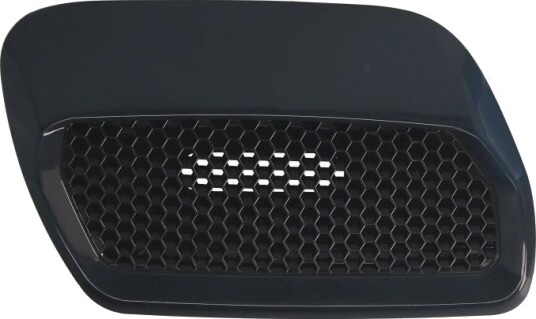 Ventilasjonsgitter BLIC 5513 00 2589922P