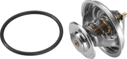 Termostat, kjølemiddel WAHLER 4105.79D