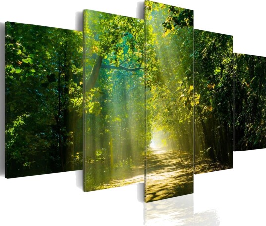 Bilde Sunshine Road 200x100 Artgeist sp. z o. o.