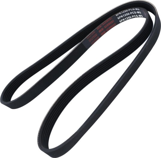 Multireim MASTER-SPORT 6PK1250-PCS-MS