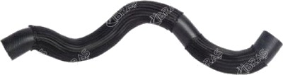 IBRAS 11049 Radiatorslange