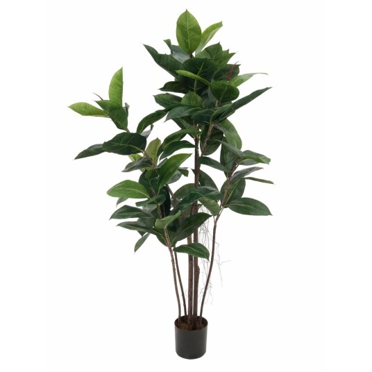 Europalms Rubber Tree, 120cm Europalms Rubber Tree, 120cm