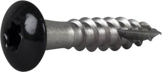 TAKRENNESKRUE PH SORT 4,8X25 A2-250