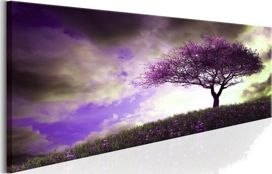 Tavla Heather Hill VALUE_MISSING_2 135x45