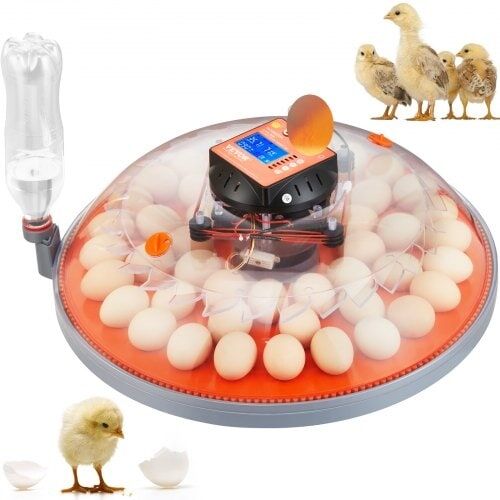 Egginkubator Rugemaskin for klekkeegg Auto Egg Turning 48 Eggs