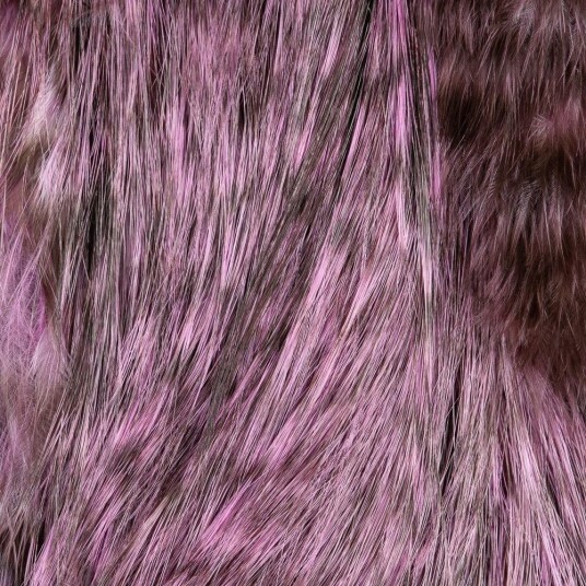 Whiting Bird Fur Whiting Bird Fur