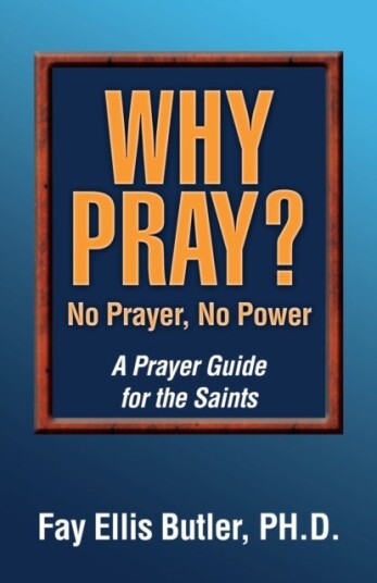 Why Pray? No Prayer No Power Why Pray? No Prayer No Power