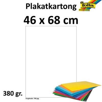 Folia Plakatkartong 48x68 380g Lillia