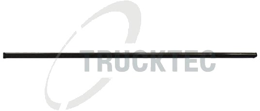 Pynte- / beskyttelseslist, dør TRUCKTEC AUTOMOTIVE 02.52.105