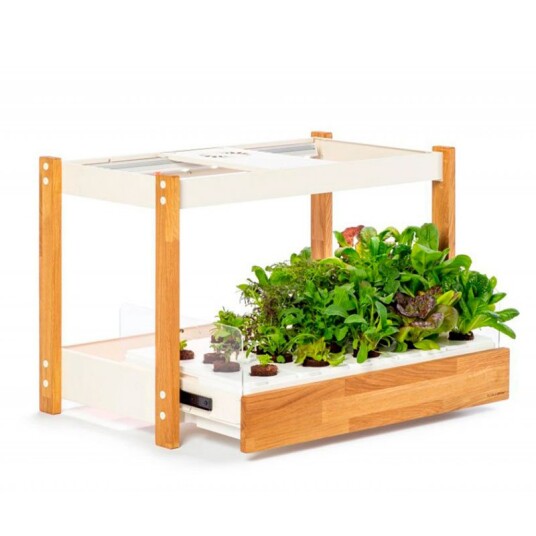 Click and Grow 25 Salatgrønt 54pk Hvid